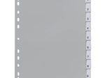 DURABLE Ordnerregister DIN A4 1-10 grau 10 Blatt - 1 Satz