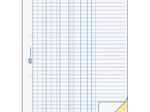 AVERY Zweckform Kassenbuch 1756 - 40 Blatt