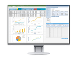 EIZO FlexScan EV2457-WT LED-Monitor 61 cm 24,1 Zoll weiß