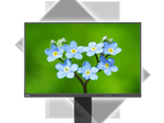 NEC Monitor MultiSync EA231WU-BK LED-Display 57 cm (23") schwarz