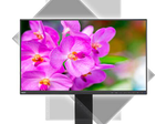 NEC Monitor MultiSync EA241F-BK LED-Display 60,47 cm (24") schwarz