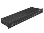 DeLOCK Industrie Hub USB 3.1 Gen 1 Typ-A 19 Zoll