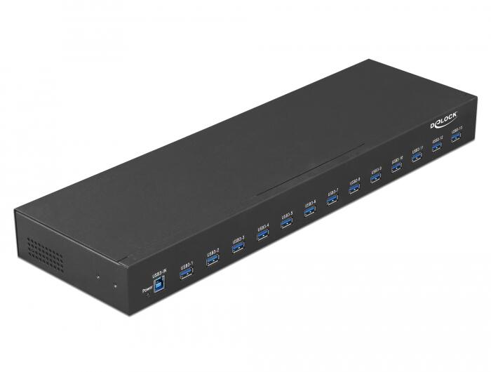 DeLOCK Industrie Hub USB 3.1 Gen 1 Typ-A 19 Zoll