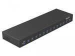 DeLOCK Industrie Hub USB 3.1 Gen 1 Typ-A 19 Zoll
