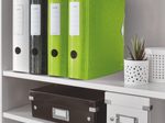 LEITZ Active WOW 1106 Ordner Rauten Kunststoff 8,2 cm DIN A4 - grün