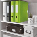 LEITZ Active WOW 1106 Ordner Rauten Kunststoff 8,2 cm DIN A4 - grün