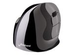 Evoluent VerticalMouse D Medium