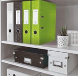 LEITZ WOW Ordner DIN A4 Karton 8,0 cm - grün