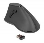 Delock Ergonomic Vertikale Maus
