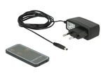 DeLOCK DisplayPort 1.4 Switch 2 x 2 DisplayPort in to 1 x 2 DisplayPort out 8K
