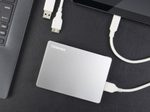 Toshiba Canvio Flex silber - 4TB