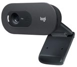 Logitech C505 HD Webcam