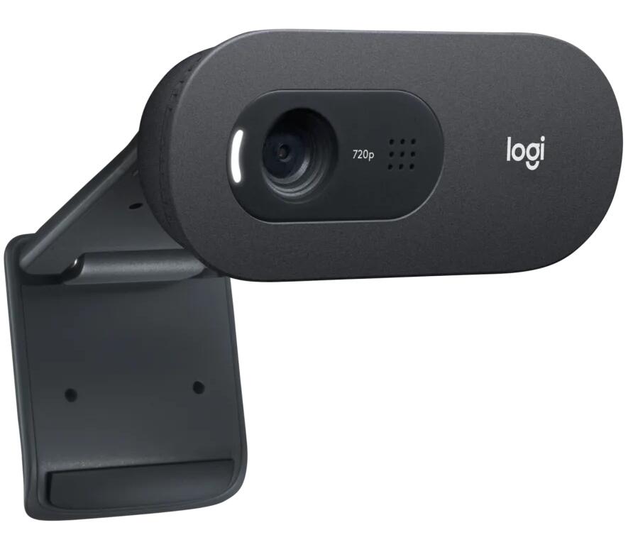 Logitech C505 HD Webcam