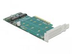 DeLOCK PCI Express x8 Card zu 2x intern NVMe M.2