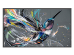 Philips 50BDL3550Q Signage Display 125,7 cm 49,5 Zoll