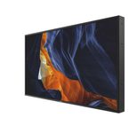 Philips 55BDL6002H/00 Digital Signage Display 138,7 cm (55 Zoll)