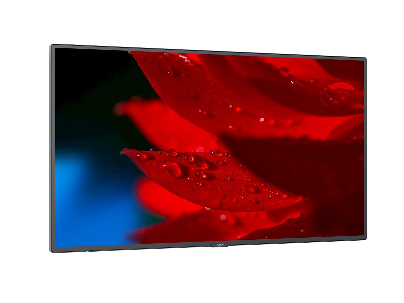 NEC MultiSync MA491 Digital Signage Display 124 cm 49 Zoll