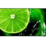 NEC MultiSync E658 Digital Signage Display 164 cm 64,5 Zoll