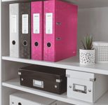 LEITZ Ordner pink Karton 8,0 cm - DIN A4