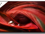 Sony FWD-65X95J (65") 165,1cm Digital Signage