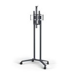 NEC PD04-Tipster Trolley Rollwagen für ein Display 32-75 Zoll
