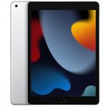 Apple iPad (10,2") Wi-Fi 64GB silber