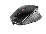 CHERRY MW 8C Ergo Maus