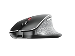 CHERRY MW 8C Ergo Maus