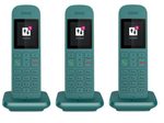 TELEKOM Speedphone 12 Trio petrol