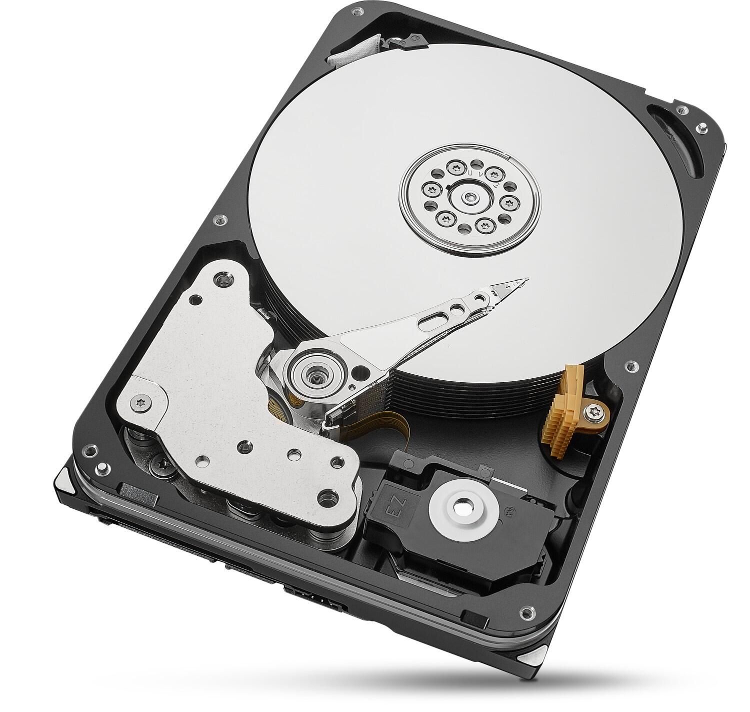 Seagate Exos X20 - 20 TB