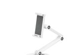 Neomounts DS15-550WH1 Universal Tablet-Ständer für 4,7-12,9" - Tablets - Weiß