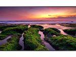 Samsung QB43B Smart Signage Display 108 cm 43 Zoll