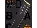 WD_BLACK SN770 - 250 GB