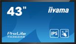 iiyama PROLITE T4362AS-B1 interaktiv Signage Display 108 cm (42,5 Zoll) 4K-UHD, IPS, 500 cd/m², 24/7, LAN, Android