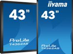 iiyama PROLITE T4362AS-B1 interaktiv Signage Display 108 cm (42,5 Zoll) 4K-UHD, IPS, 500 cd/m², 24/7, LAN, Android