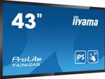 iiyama PROLITE T4362AS-B1 interaktiv Signage Display 108 cm (42,5 Zoll) 4K-UHD, IPS, 500 cd/m², 24/7, LAN, Android