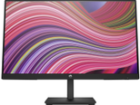 HP V22i G5 Monitor 54,5cm (21,45 Zoll)