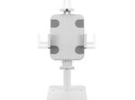 Neomounts DS15-625WH1 neig- und drehbare Tablet-Tischhalter für 7,9-11" Tablets - Weiß