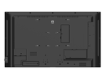 Philips Q-Line 32BDL3650Q Signage Display 80cm (31,5 Zoll)