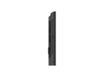 Philips Q-Line 32BDL3650Q Signage Display 80cm (31,5 Zoll)