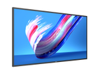 Philips Q-Line 50BDL3650Q Signage Display 125.7cm (49.5 Zoll)