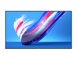 Philips Q-Line 65BDL3650Q Signage Display 163.9cm (64.5 Zoll)