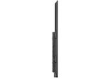 Philips Q-Line 98BDL3650Q Signage Display 247.7 cm (97.5 Zoll)