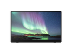 Ricoh 150BW mobiler Multi-Touch Monitor 39,60cm (15,6")