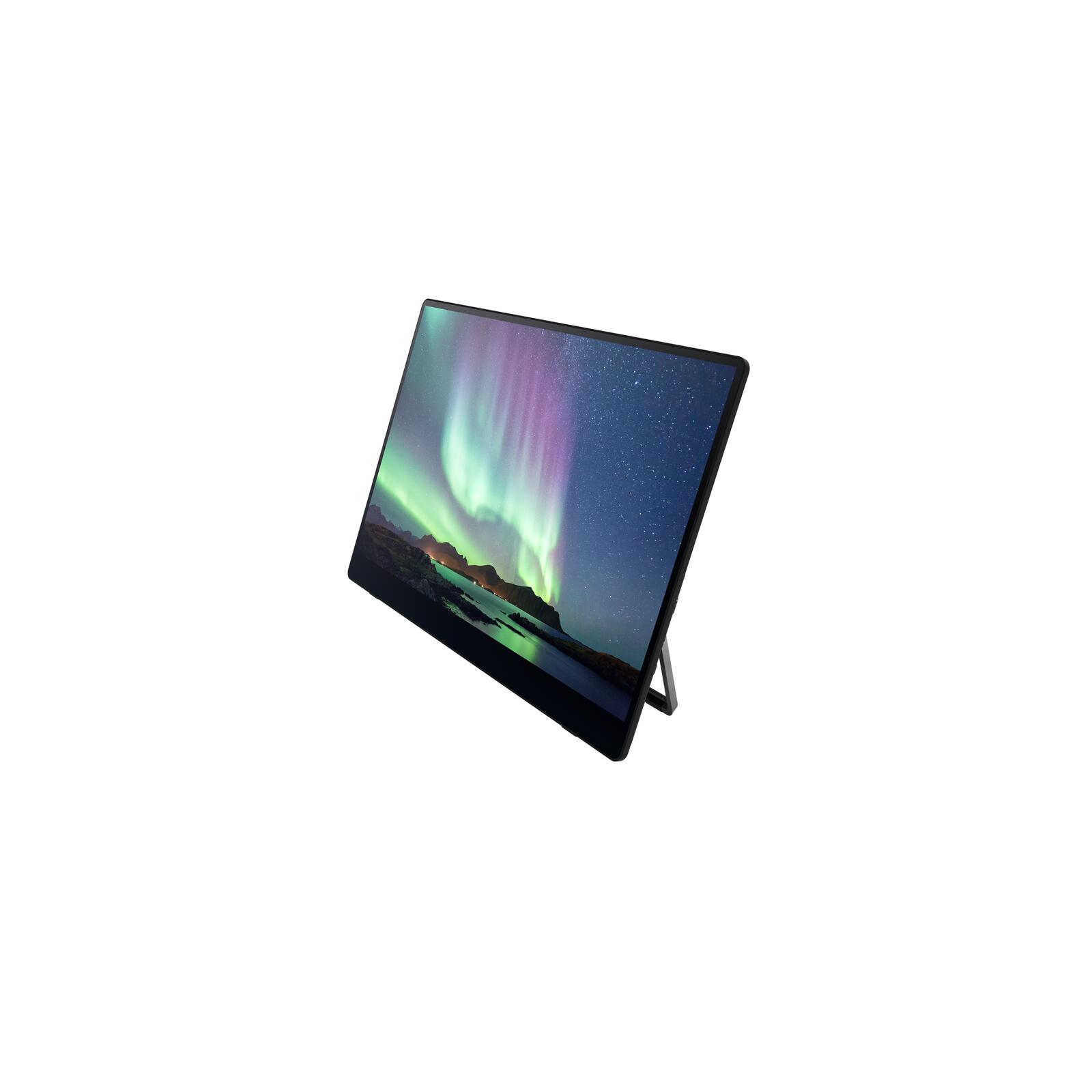 Ricoh 150BW mobiler Multi-Touch Monitor 39,60cm (15,6")