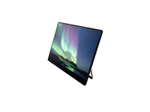 Ricoh 150BW mobiler Multi-Touch Monitor 39,60cm (15,6")