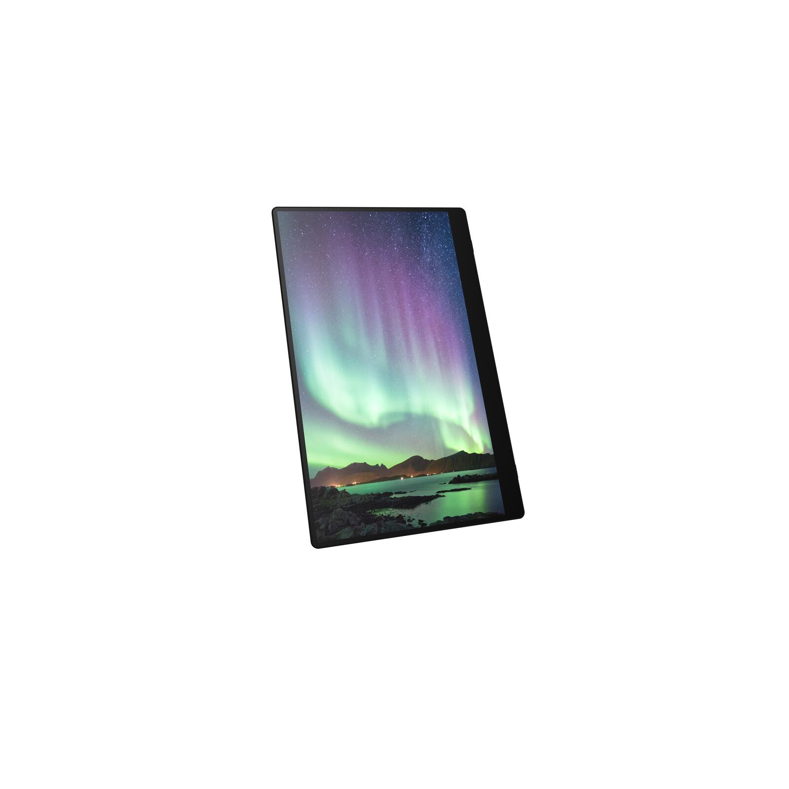 Ricoh 150BW mobiler Multi-Touch Monitor 39,60cm (15,6")