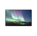 Ricoh 150 mobiler Multi-Touch Monitor 39,60cm (15,6")