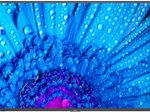 NEC MultiSync M981 Digital Signage Display 248,9cm 98 Zoll