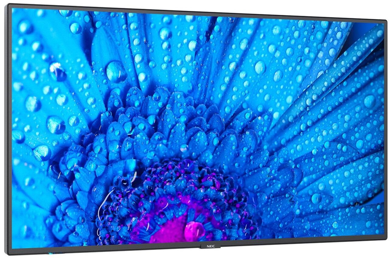 NEC MultiSync M981 Digital Signage Display 248,9cm 98 Zoll